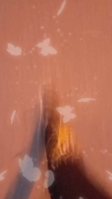 1000020322.mp4
