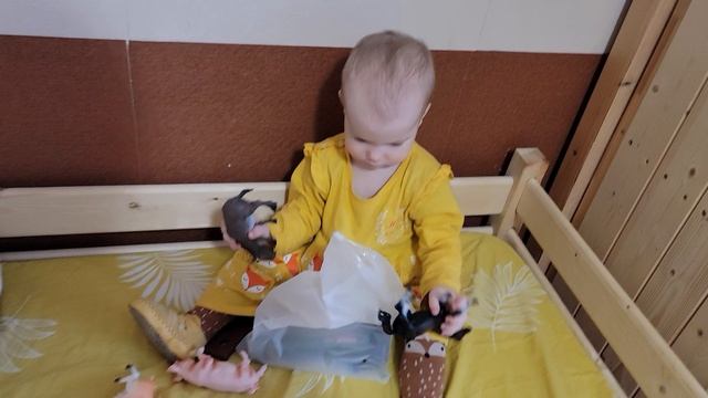 Злата и скрытое стадо)