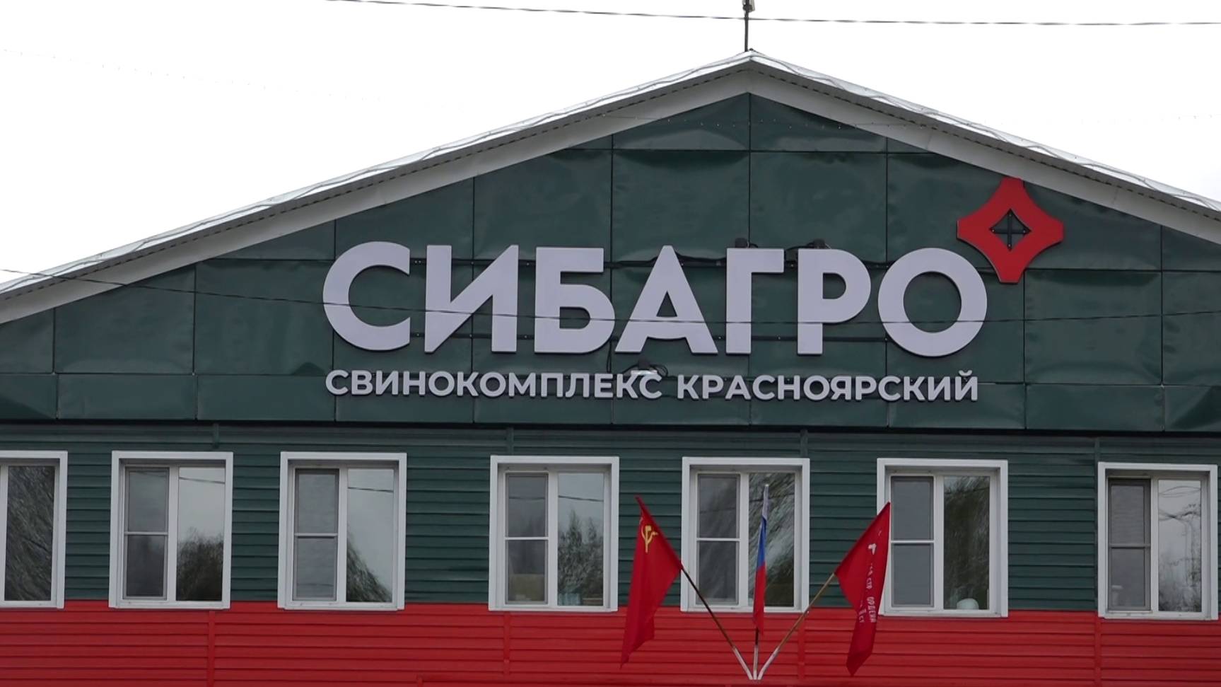 СВИНОФЕРМА ПОПАЛА ПОД УГОЛОВНОЕ ДЕЛО ЗА ВЫБРОСЫ