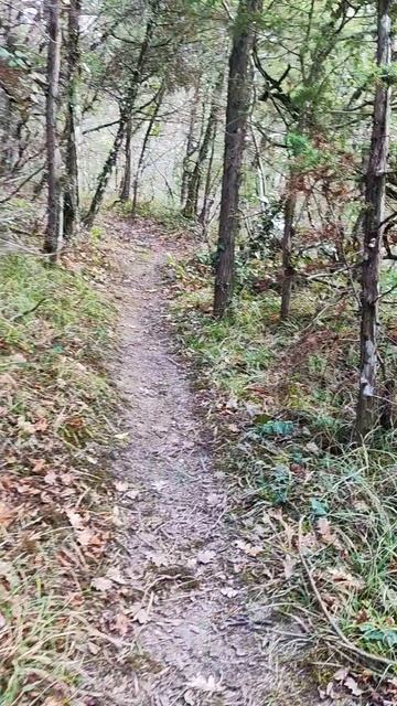 почему мы ходим НЕ туристическими тропами #цветы #ятрышник #весна