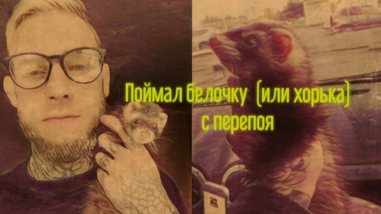 Поймал белочку (или хорька) с перепоя #путьалкоголика #алкоголь #историиизжизни