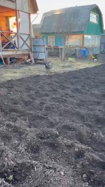 Сегодня будет туса