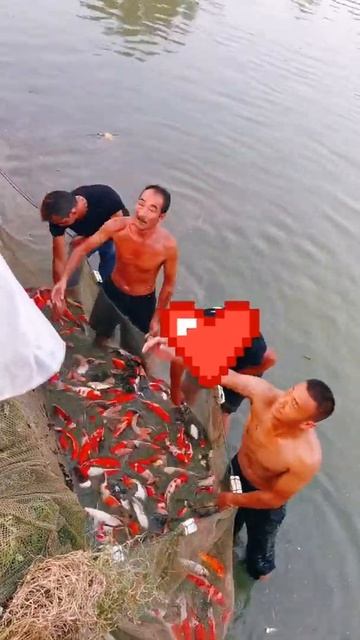 Amazing beautiful fish |Удивительно красивая рыба|Unique Fishing|Shorts