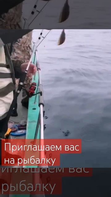 Уссурийск ул арсеньева 1,2этаж #морскаярыбалка #снасти