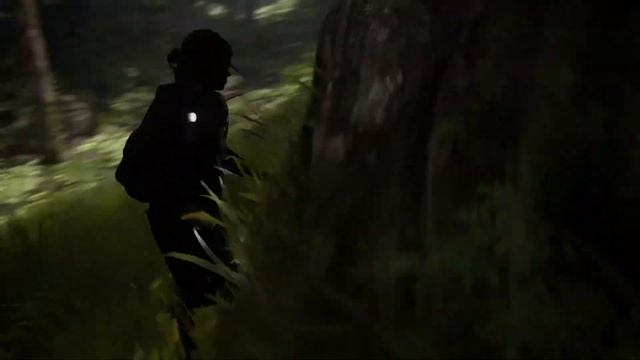 THE LAST OF US 2 - ТЕПЕРЬ И НА ПК
