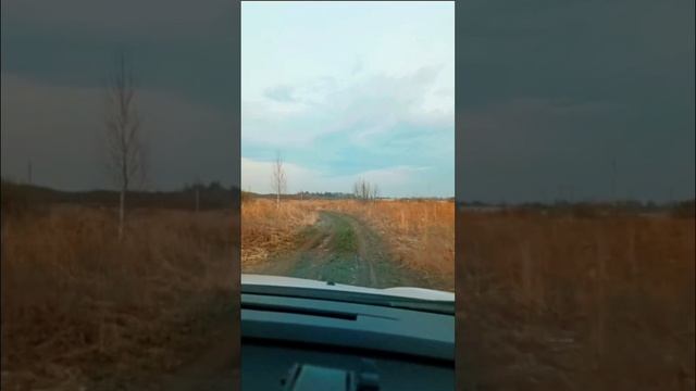 Рено Каптур тест по полю.