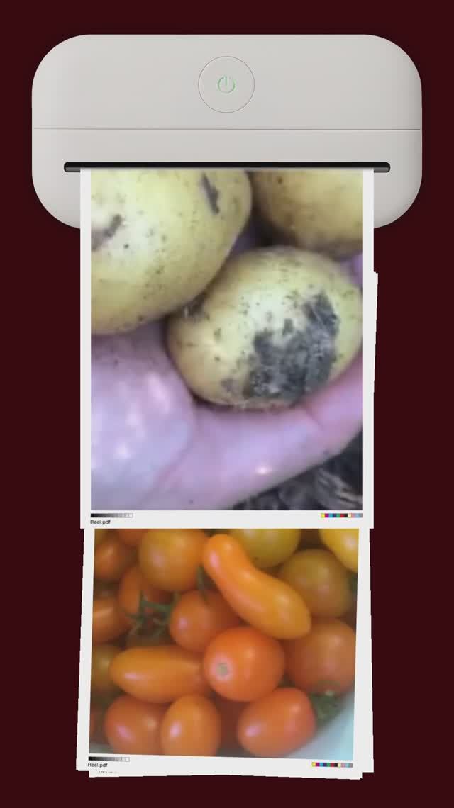 Урожай 2024  Год был урожайным, сад и огород был полон овощами, фруктами и ягодами