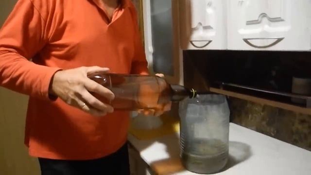 Как вырастить много белых грибов дома на подоконнике
