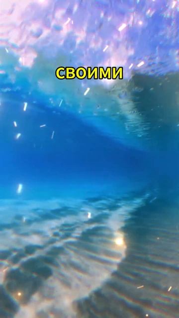 Гороскоп на сегодня Лев