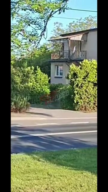 Где-то во влажных снах ухиляторов, которые прячутся дома