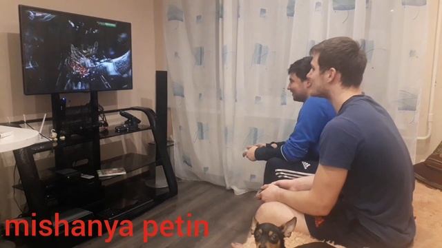mishanya petin: бой налысо 😂😎