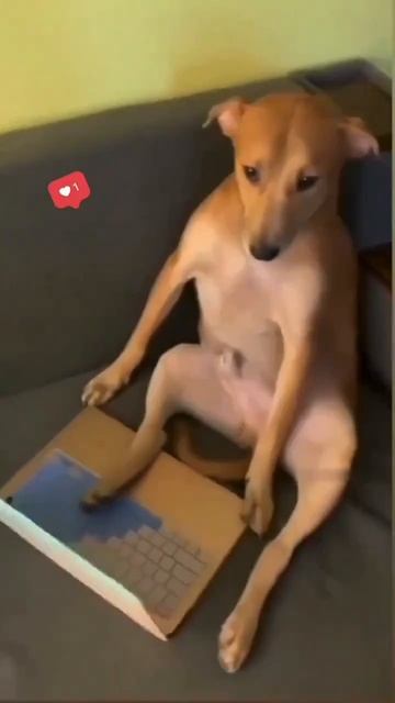 Спалили на горячем 🤣