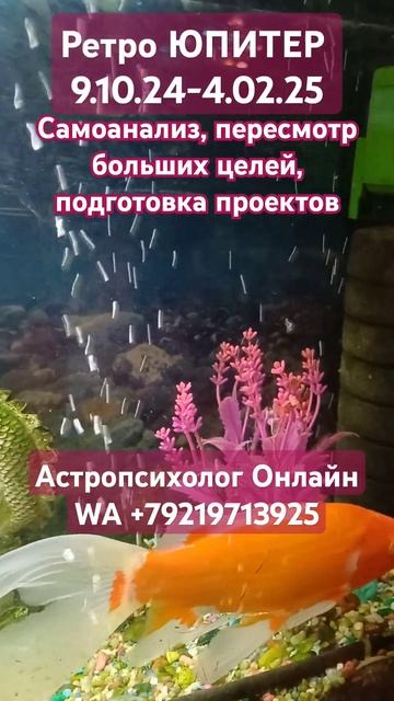 #ретроградный #ЮПИТЕР 9.10.24-4.02.25