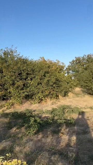 Участок 28 соток на краю земли. Таганрогский залив. #ижс #глэмпинг