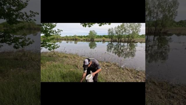 фильтр для очистки воды