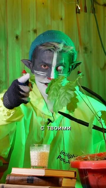 Кот Учёный чем Коала похожа на человека? 🐨 #животные #?
