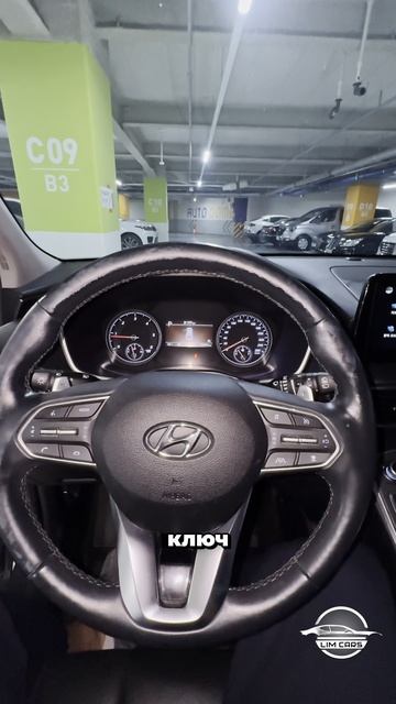 Ты не поверишь - Hyundai Santa-Fe за 2🍋