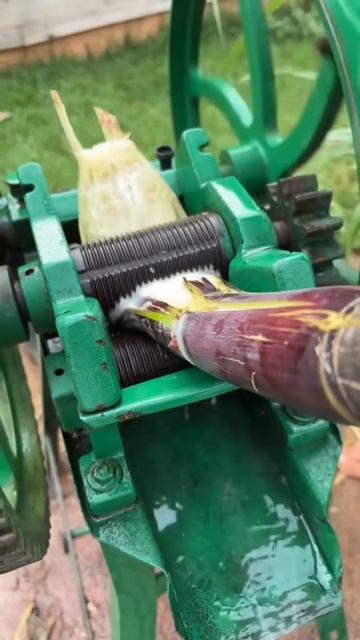 The process of taking sugar cane juice #shorts