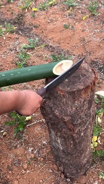 This knife is very strong, able to cut bamboo quickly #shorts