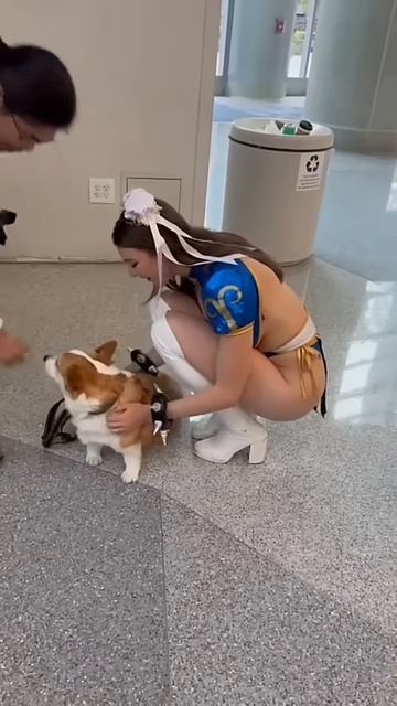 #corgi #dog #puppy #disney #pets #doggie #cute #rachelpizzolato #fun