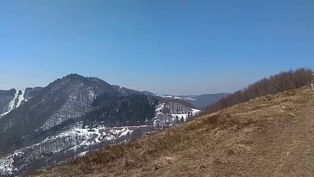 Вид з гори Лиса , Рахів