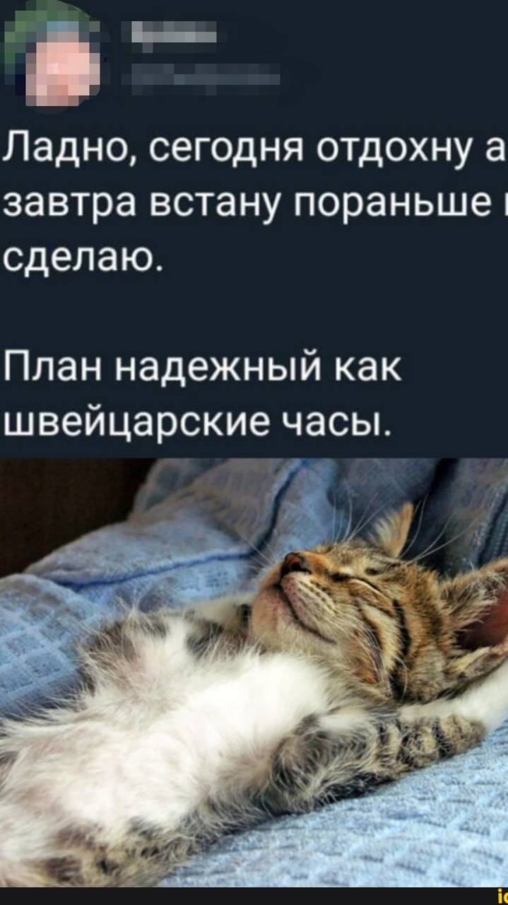 план-капкан)))