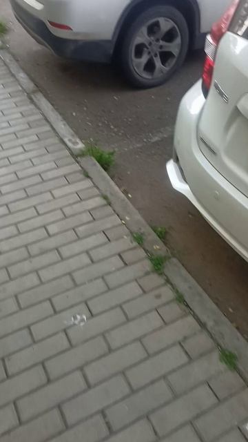 Логистика от студии Артемия Лебедева