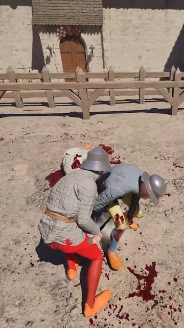 Relax with 2-h sword #halfsword #history #medieval