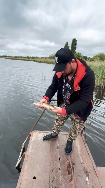 Щука. Рыбалка 2025 на спиннинг #fishing #рыбалканаозере #рыбалка #гарпун23