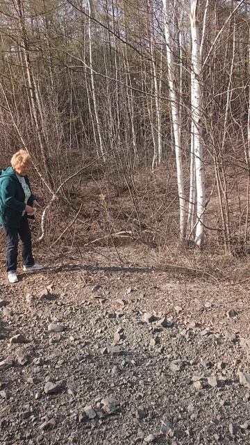 Ужин рыжей попрошайки