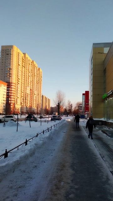 Сегодня в Петербурге -25 градусов. 4 января 2024.