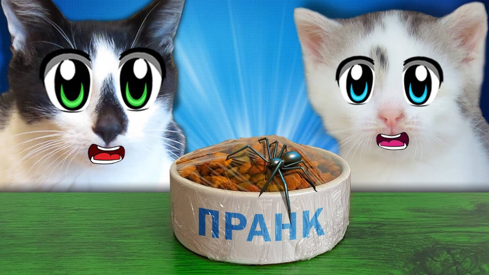 3 СМЕШНЫХ ПРАНКА над КОТАМИ! Приколы с животными ! Лучшие ИДЕИ для РОЗЫГРЫША А НУ КА ДАВАЙ КА