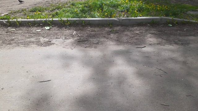 Кого защищает ИГЖН  ПК?  Ответ на вопрос от 15.07.24 так и не дали .#единнаяроссия #народныйфронт