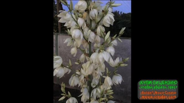 ДИСКОТЕКА НА ДАЧУ! ЛУЧШИЕ ХИТЫ!