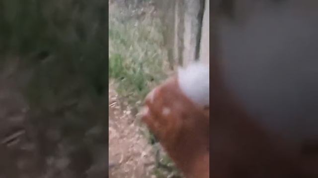Пазавчра прошёл град в Китае. А мы на жару жалуемся