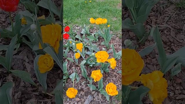 Прогулочка по району🥰