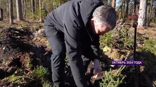 Специальный репортаж 13.11.2024. Акция "Дай лесу новае жыцц