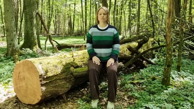 Дыхательная практика для расслабления и здоровья / Звуки леса / Пение птиц