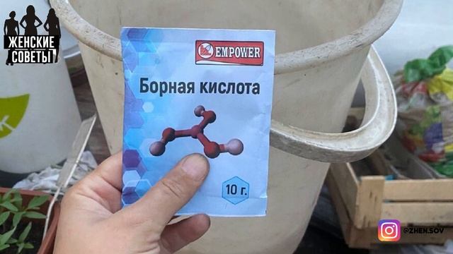 Подкормка Из Одного Порошка Дает Силы Цветам И Заставляет Их Цвести Великолепно!
