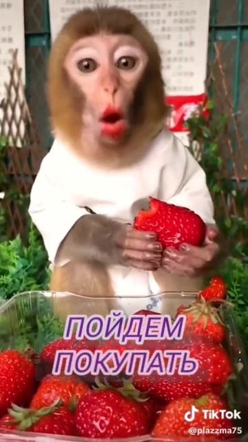 Продажа часов наручных и настенных.