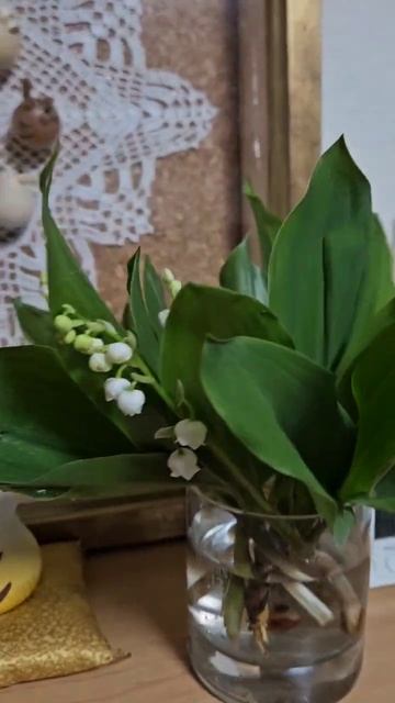 Ландыши, ландыши, светлого мая привет....