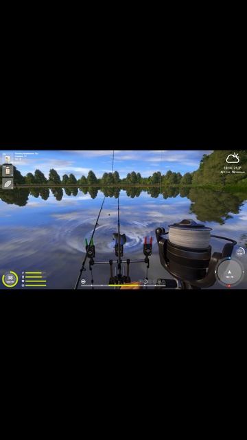 Янтарка . карп фарм . Русская рыбалка 4 . Russian Fish 4 . 俄罗斯?