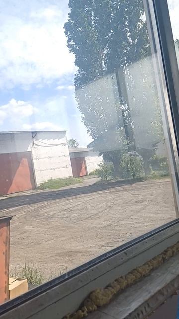 Тополя