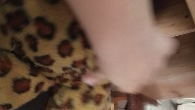 5 ночей с маминой гусëныша 2 тюрьма 1 ноч