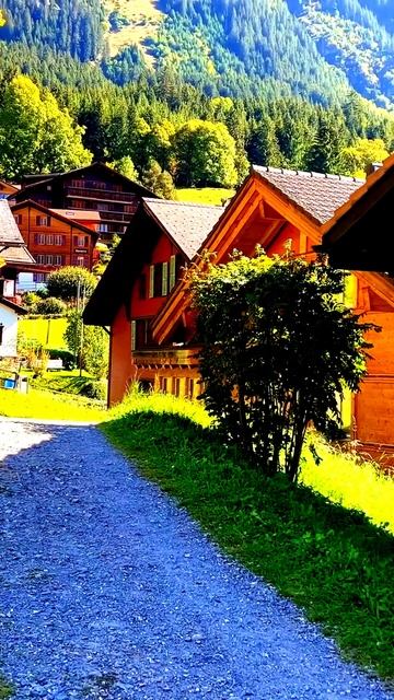 Камера не прощает