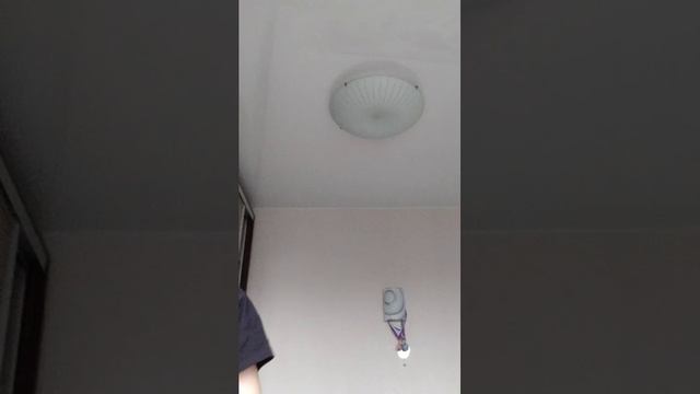 привет зоходи
