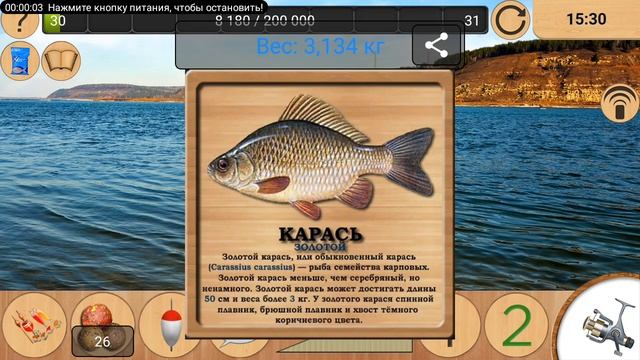 🐟реальная рыбалка 🐟 ценный трофей карася золотой на
