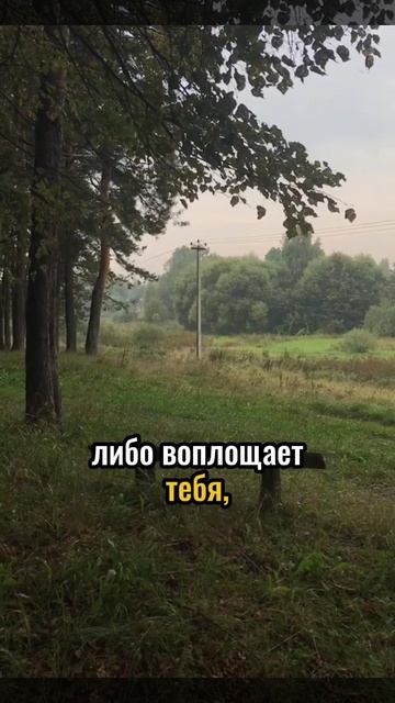 Каждое твое действие