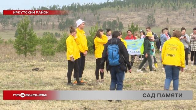 Выгоревший лес восстанавливают в Иркутском районе