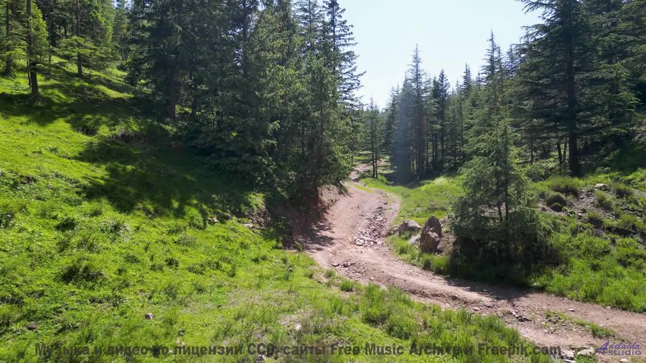 Хочется бежать по полям под этот невероятный саунд - Damnatio Memoriae -- AKMV-18 -- Damnatio Memori